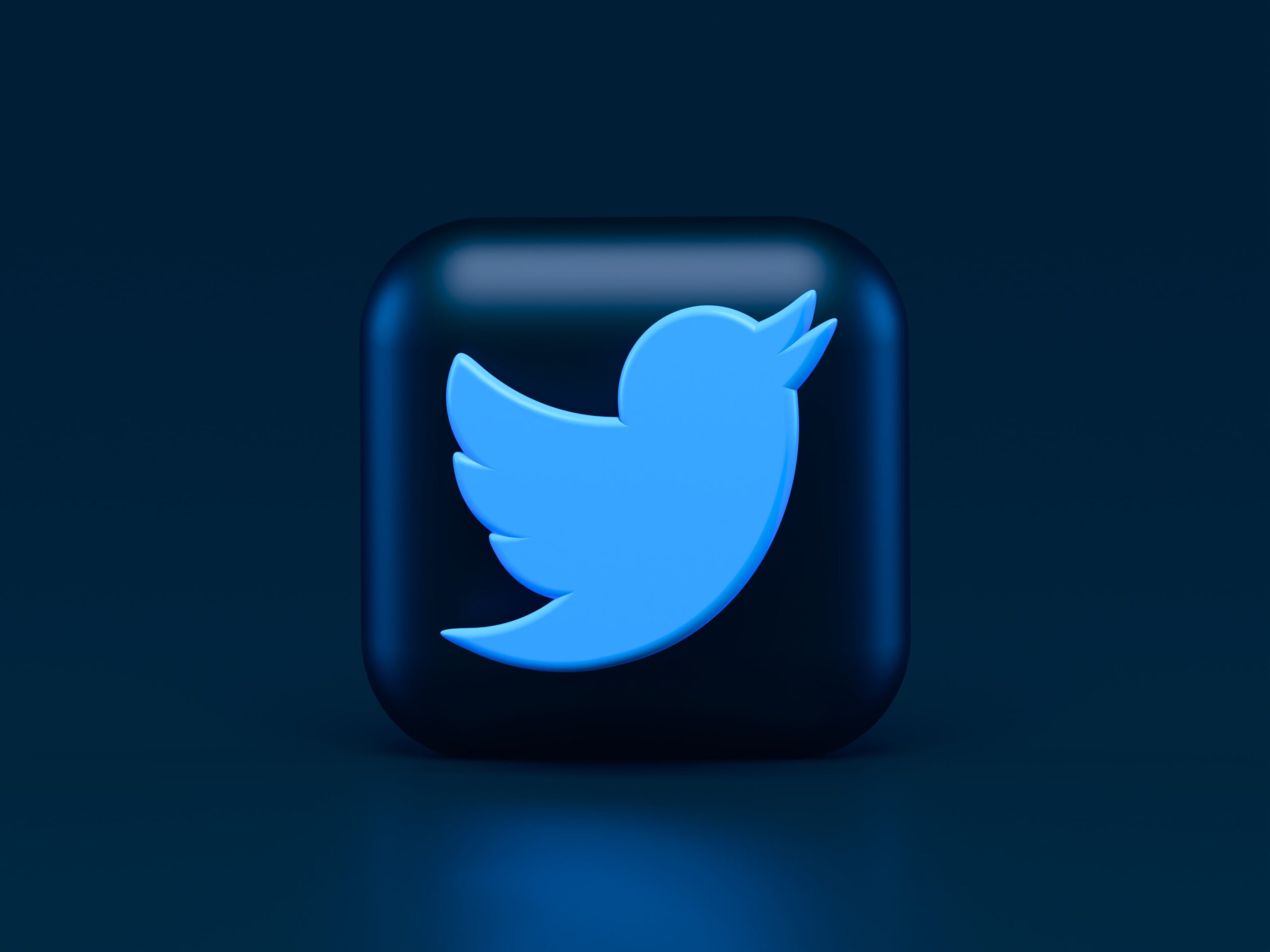 social media afmetingen 2022. Twitter logo.