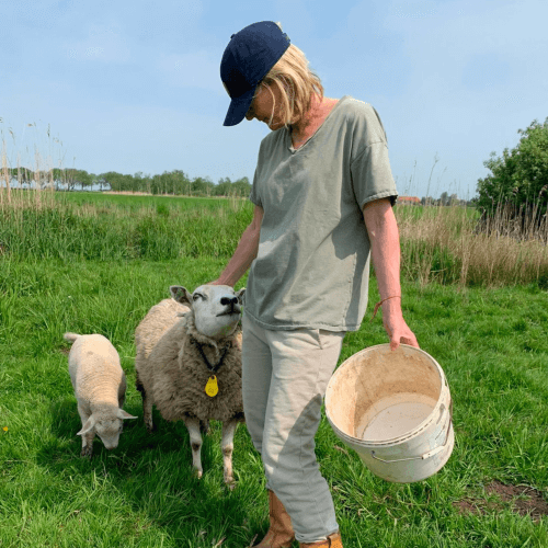 lopen-zonder-blaren-schapen-en-medewerker